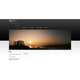 Dynamic website build, rental and support