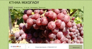 Website construction for the production of grapes and the production and sale of vine leaves.