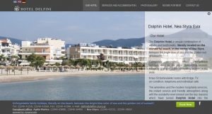 κατασκευη web site για το ξενοδοχειο δελφινι για διακοπές πάνω στο κύμμα, στα Στυρα